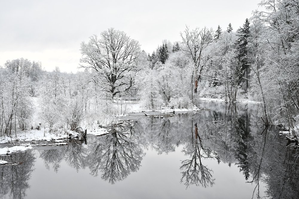 отражение зимы