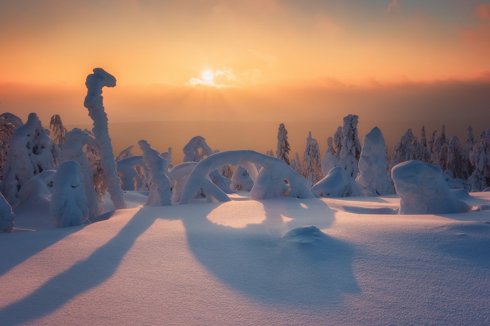 Photograph by Антон Кошетаров