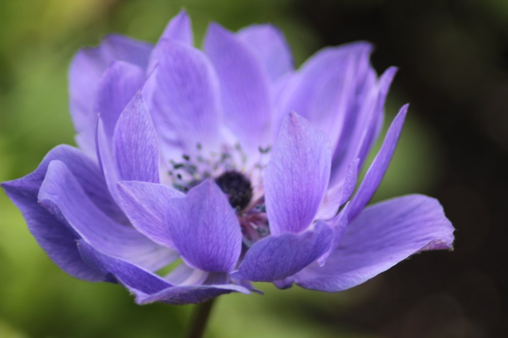 Фотография автора Аяужан Утеулинова