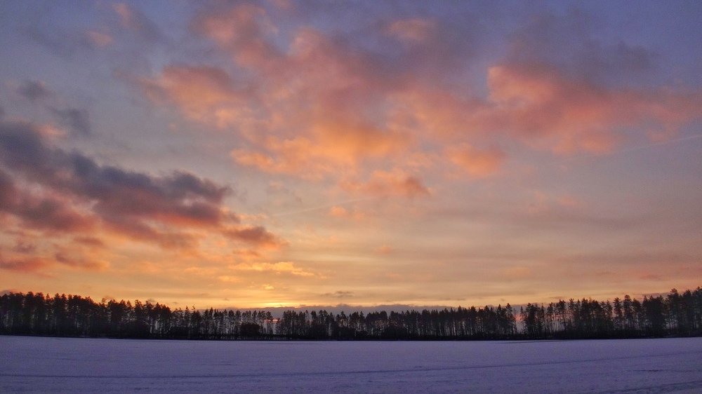 Photograph by Елена Силантьева