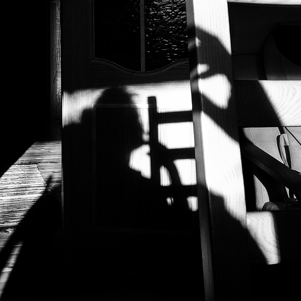 Photo #5384996