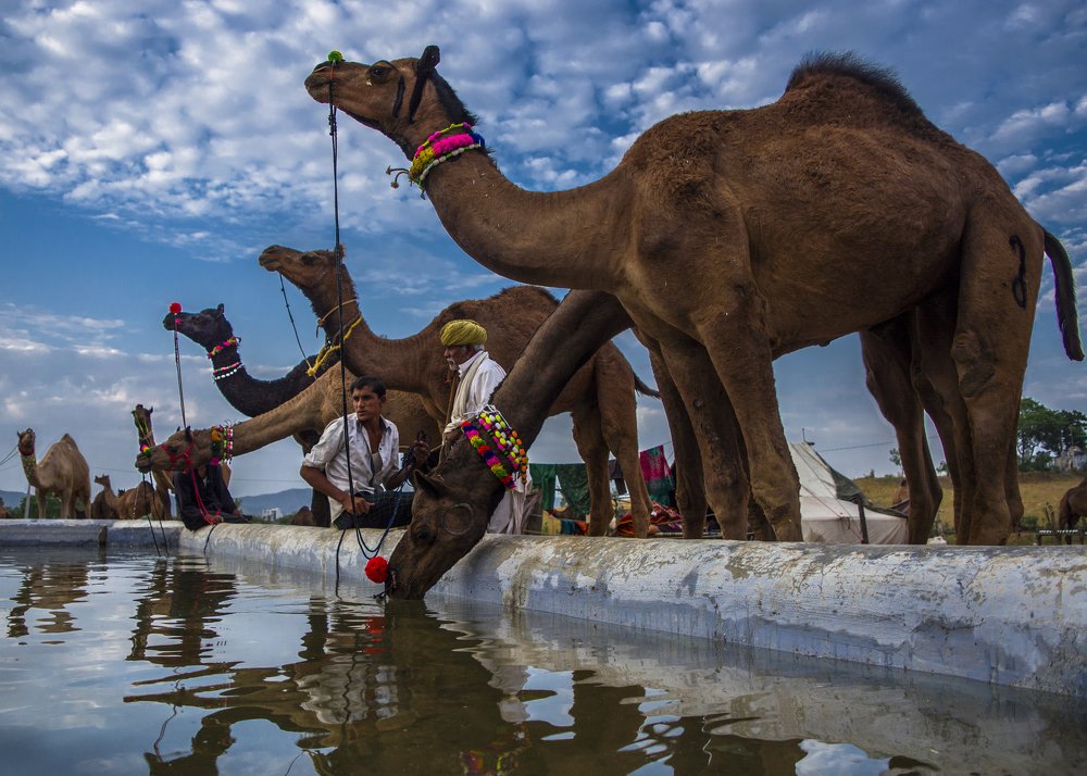 Photograph by Satrajit De