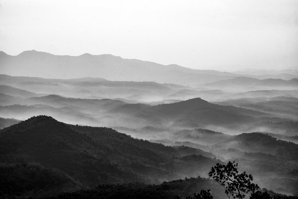 Photograph by Sreerag k k