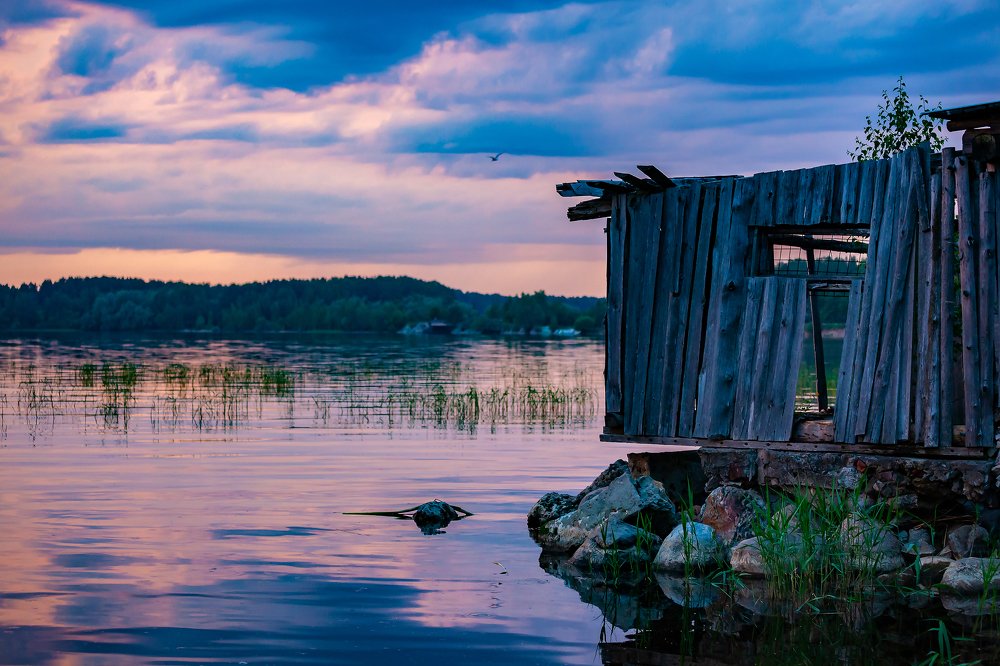 Photograph by Nika Litus