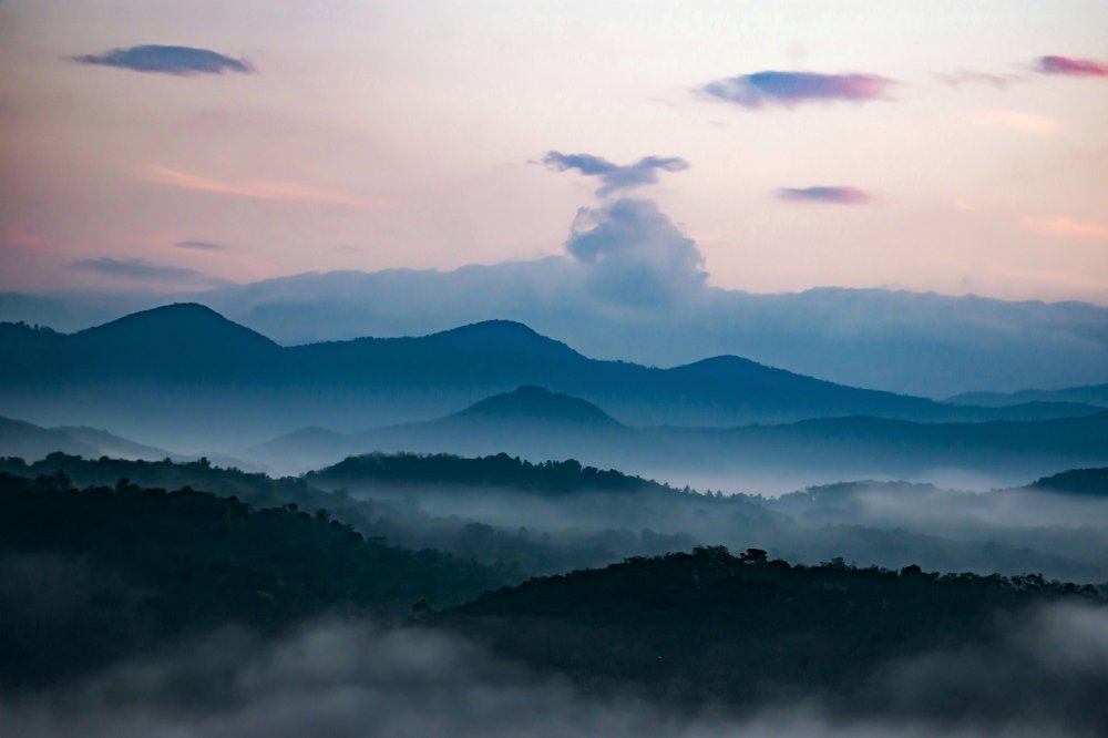 Photograph by Sreerag k k