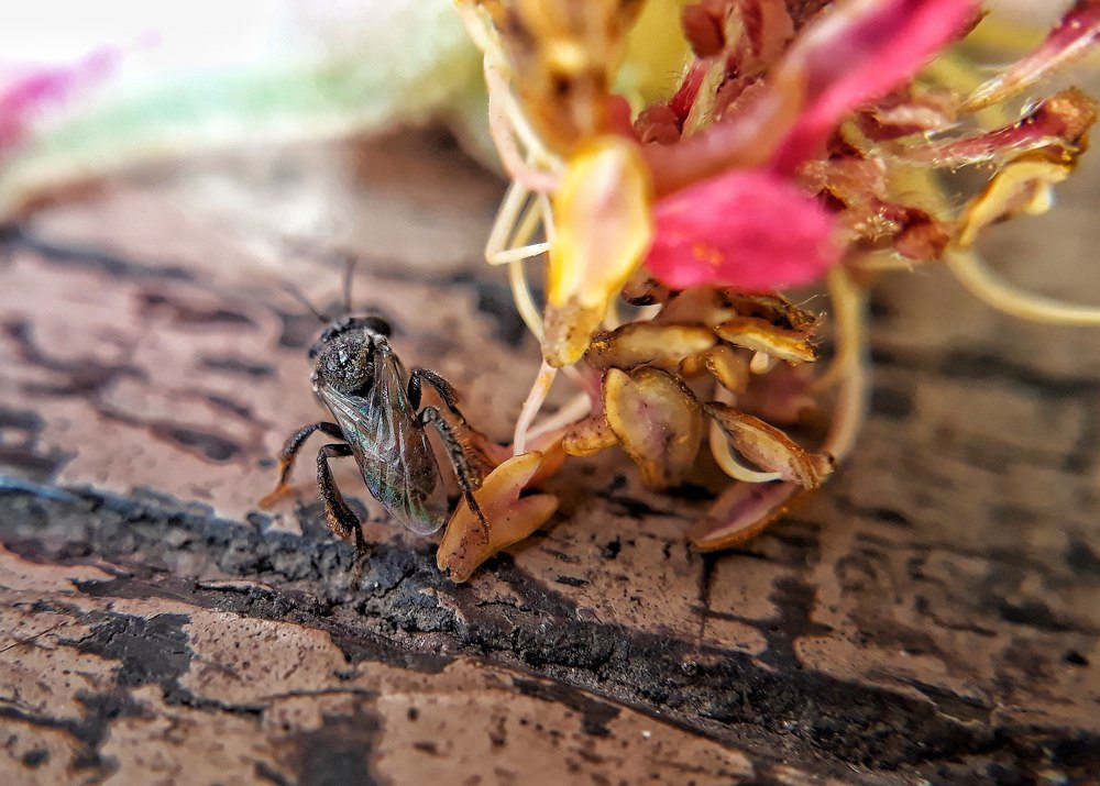 Photograph by DHIRAJ GOSWAMI