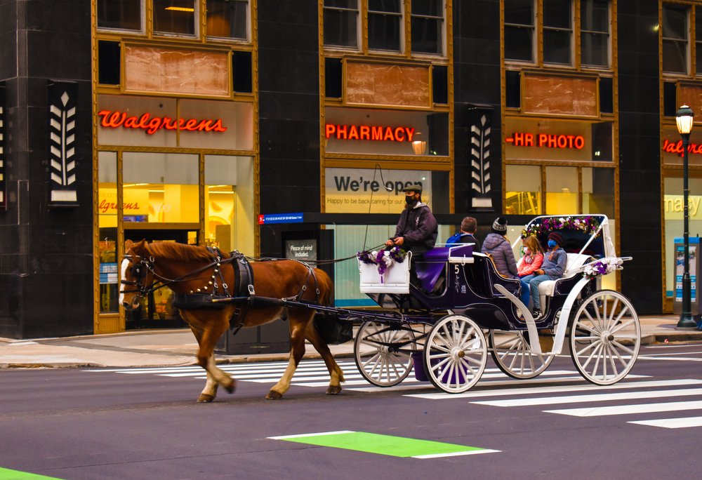 Photograph by Gargee Chowdhury