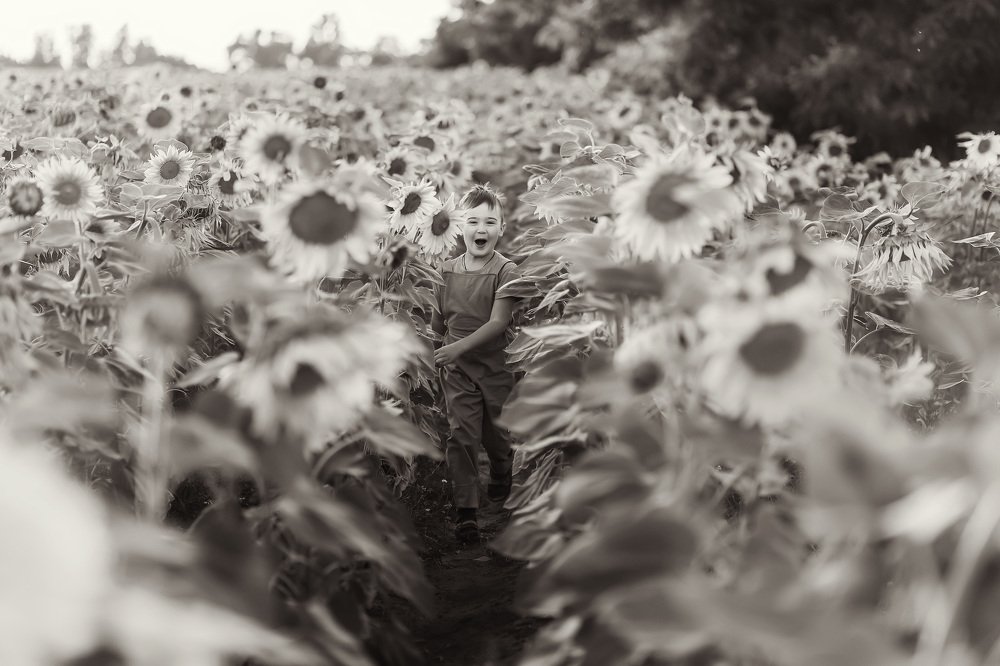 Счастье в подсолнухах