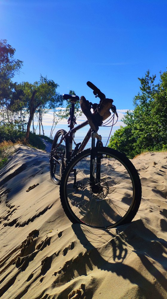 Балтийский конь