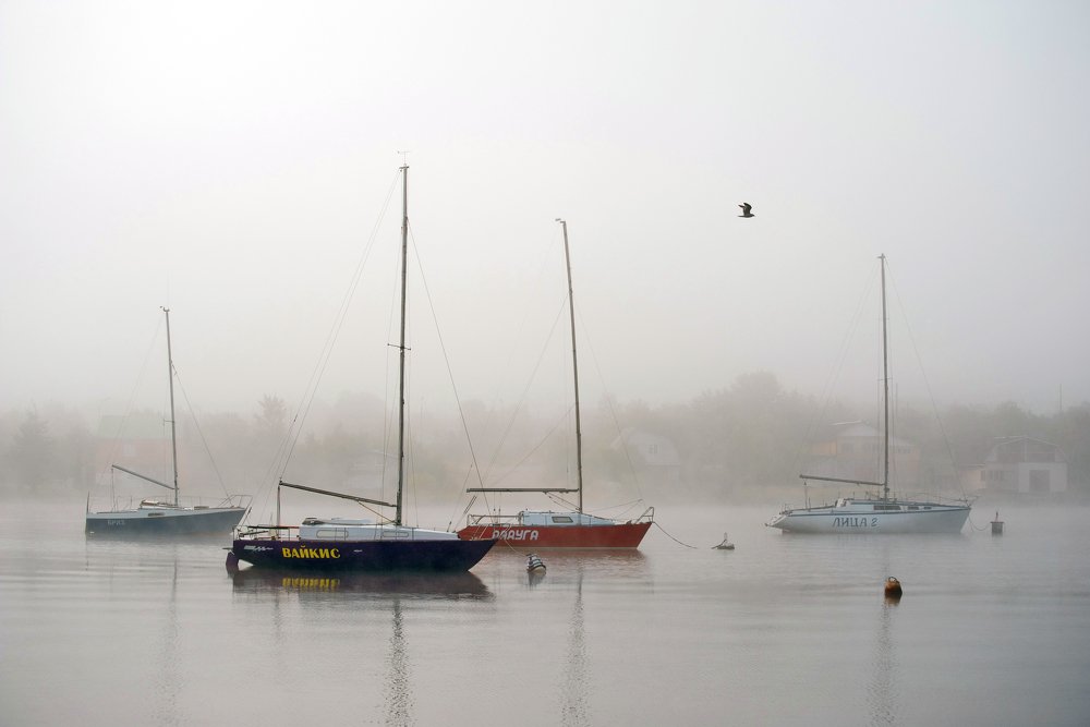 Photograph by ARTEM KORZHUKOV