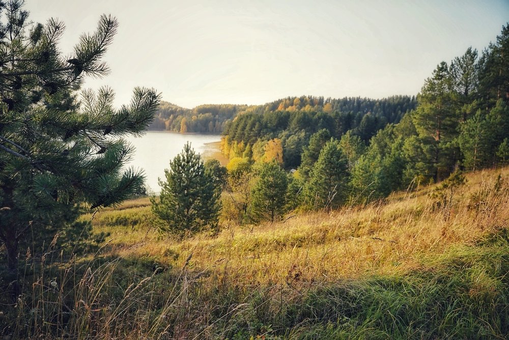 Photograph by Татьяна Машина