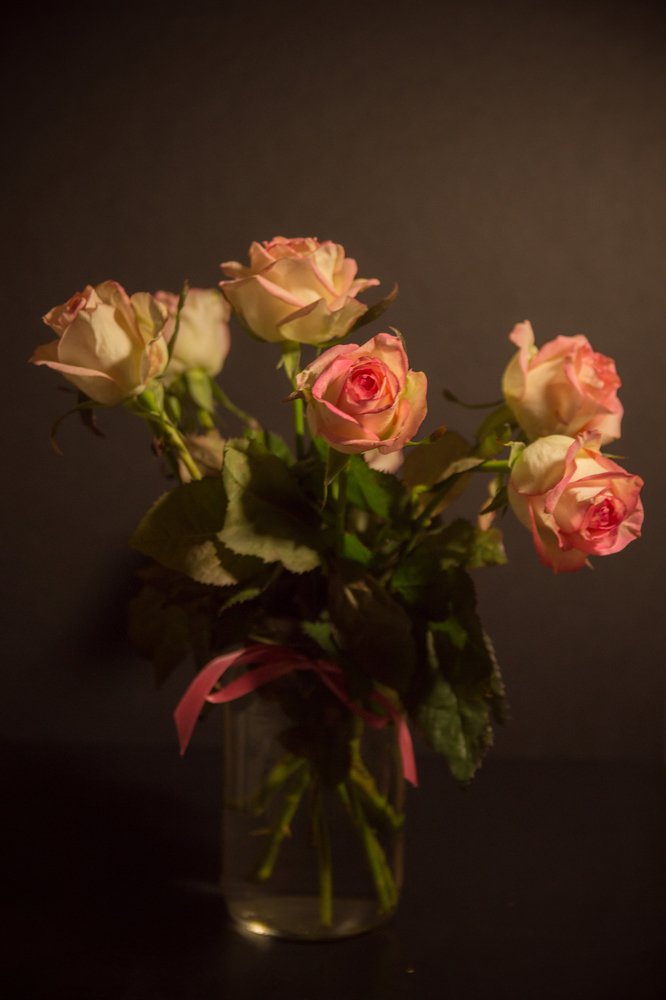 Photograph by Leonov Sergey