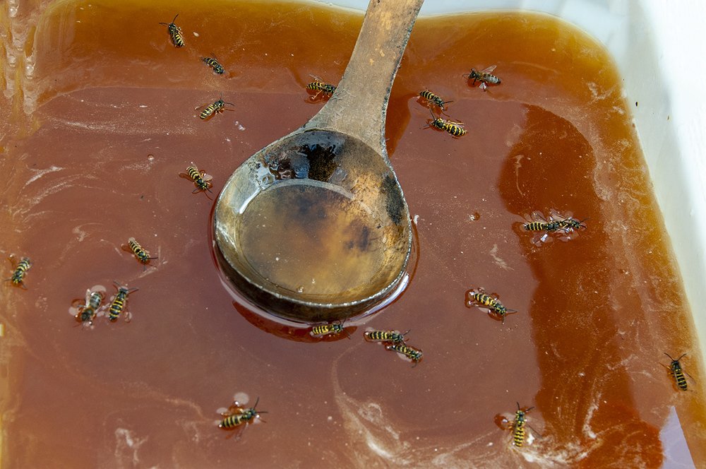 Photograph by Эдуард Шадров