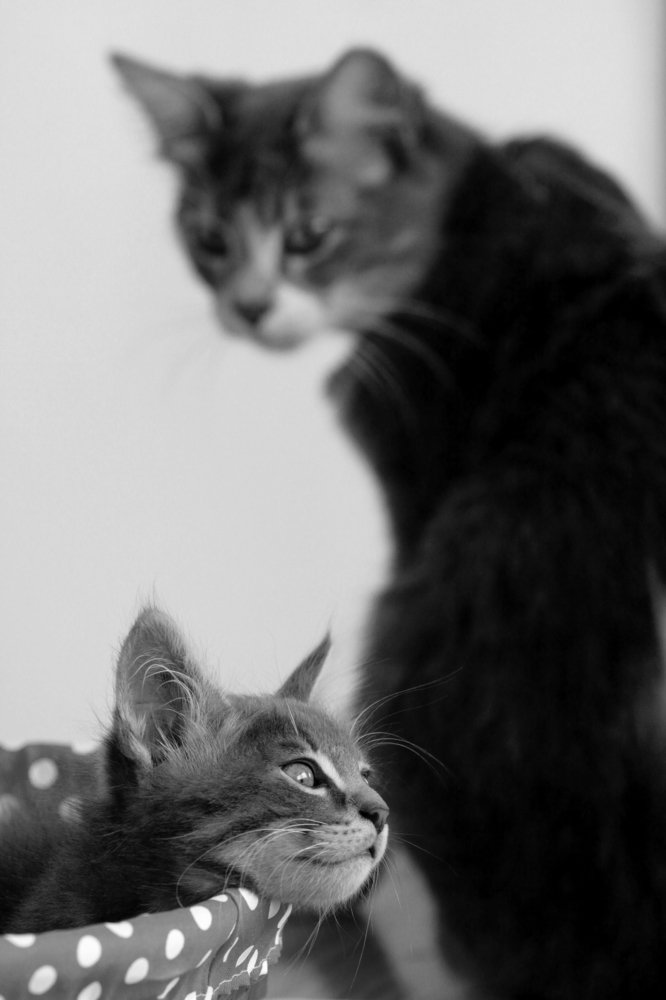 Photograph by Veneta Raynovska