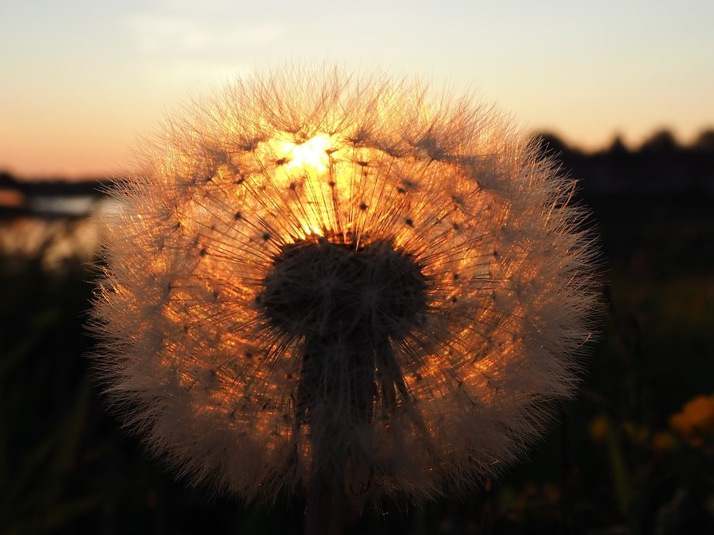 Photograph by Надежда Меркулова