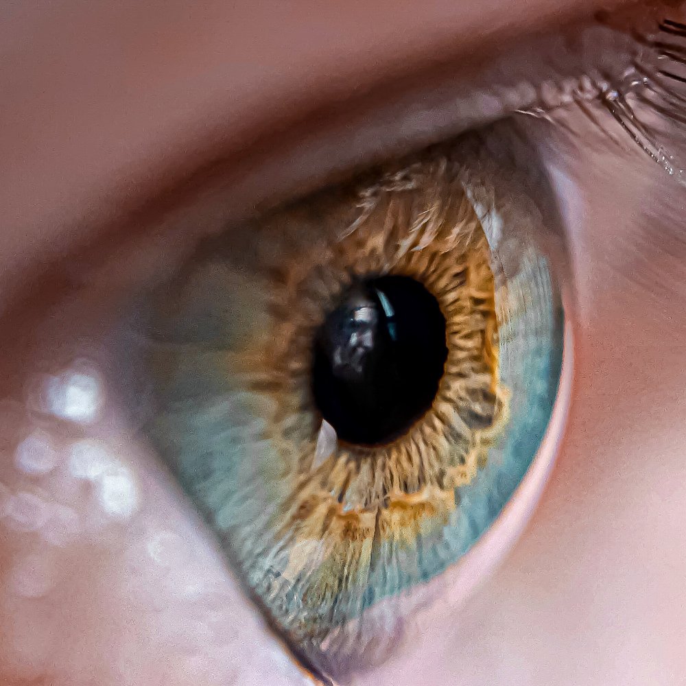 Photograph by Сергей Колос