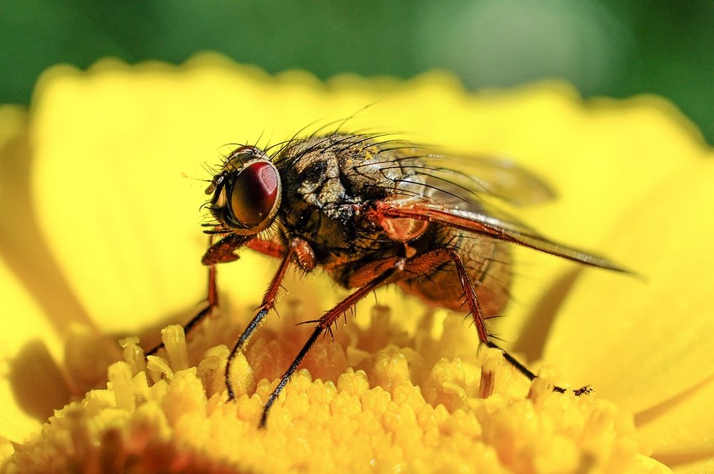 Photograph by Эдуард Шадров