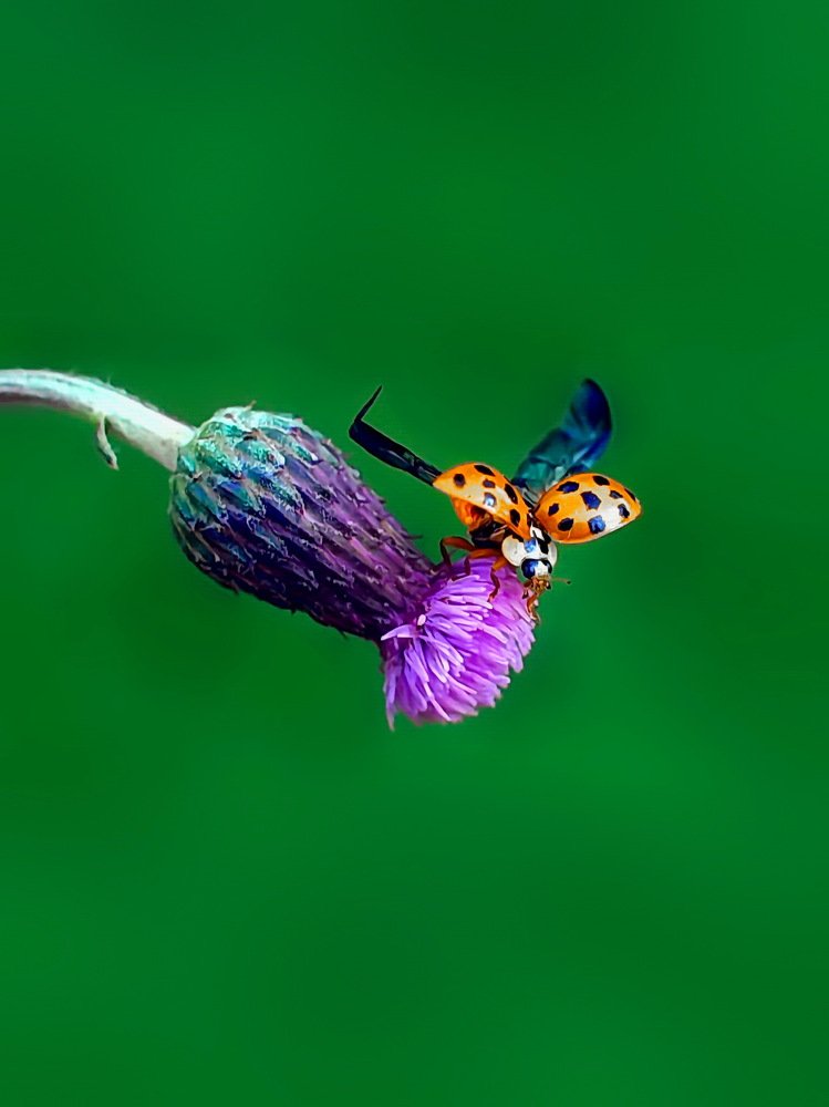 Photograph by 