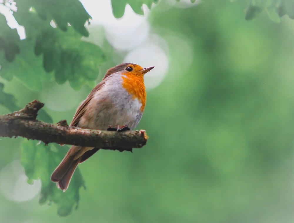 Photograph by ptu6ki