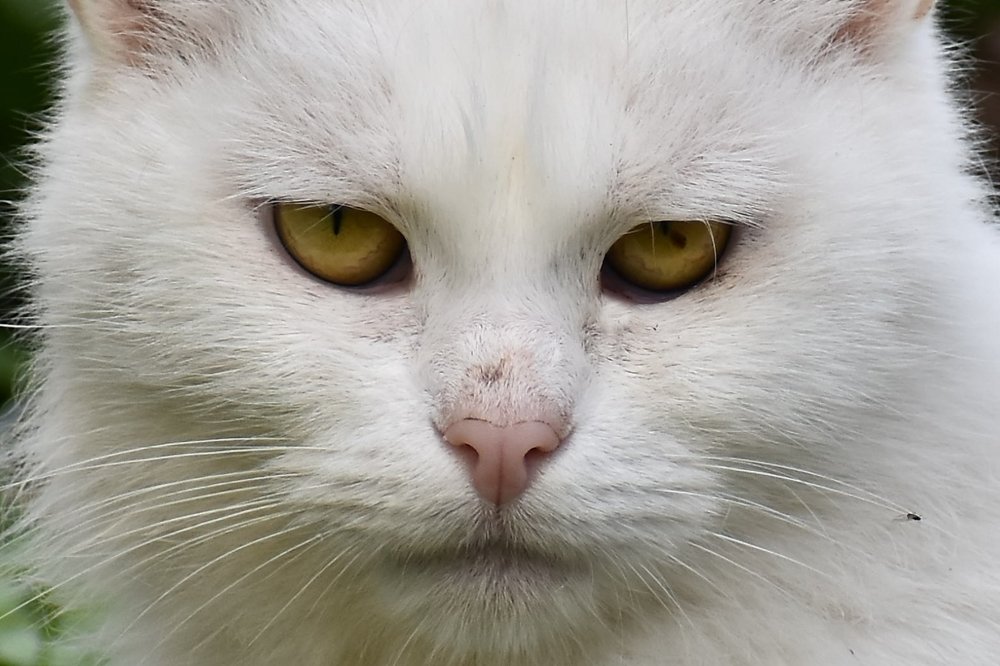 Photograph by Валерий Талейко