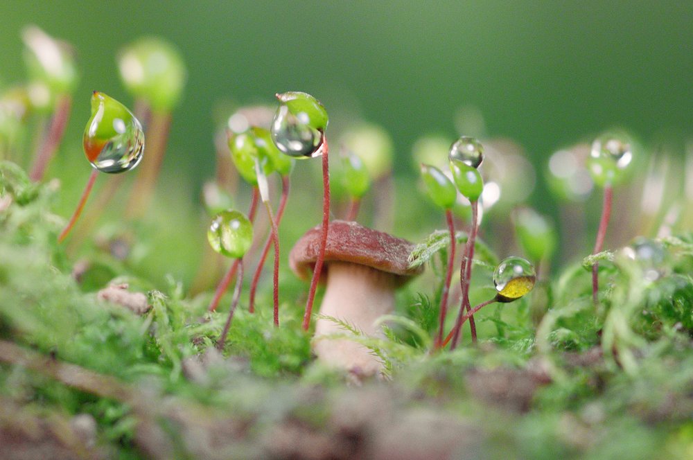 Photograph by Анастасия Яныкина