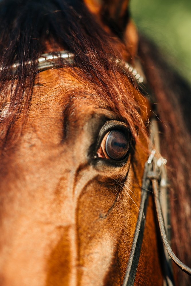 Photograph by Альбина Сагитова