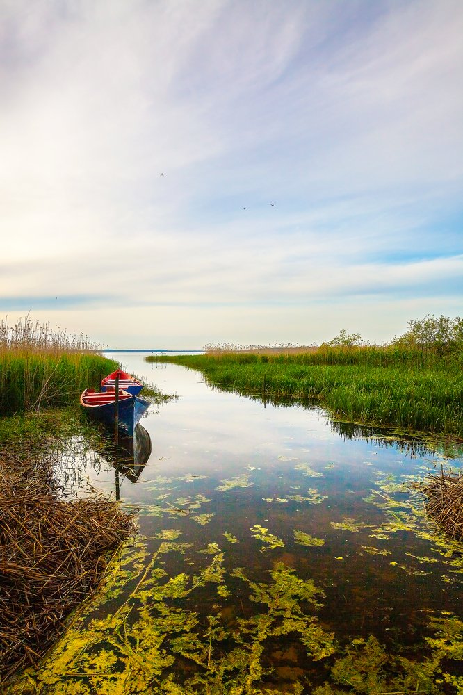 Photograph by Nika Litus