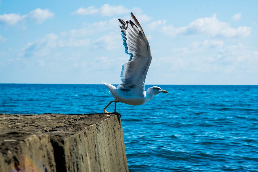 Photograph by Михаил Кравченко