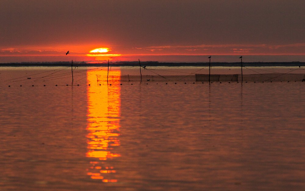 Photograph by Андрей Червяков