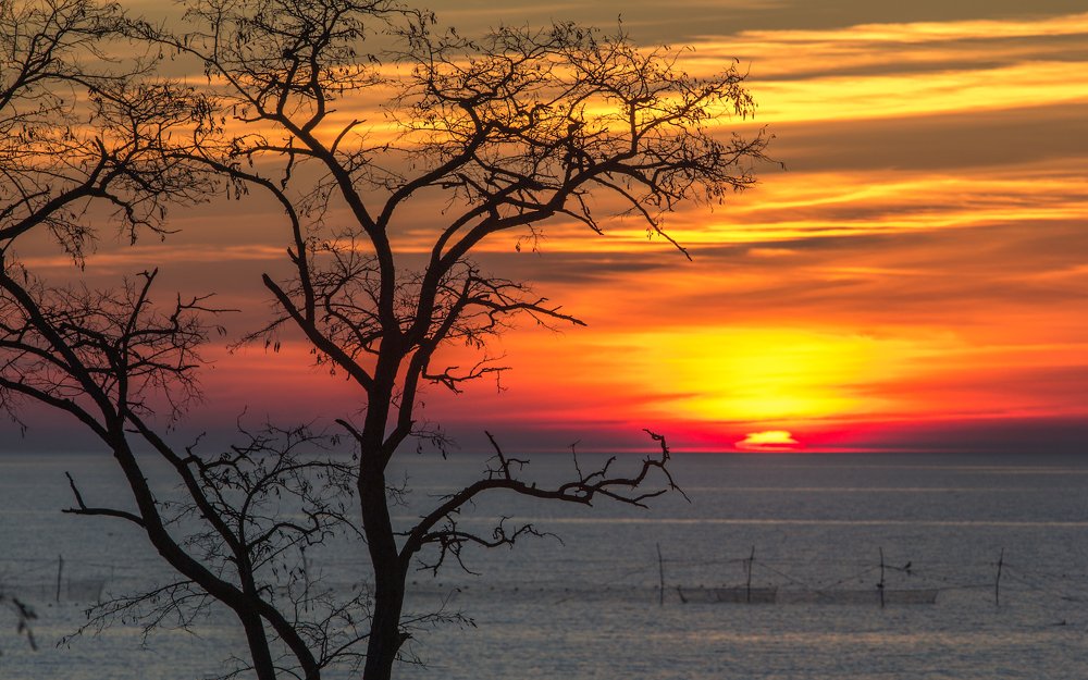 Photograph by Андрей Червяков