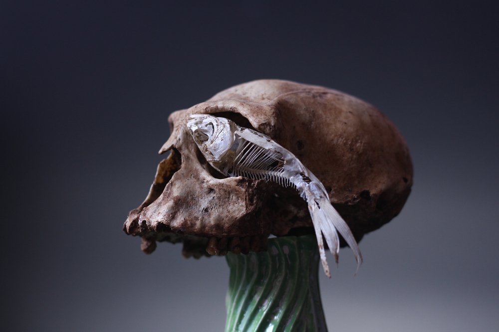 Photograph by biswajit sahani