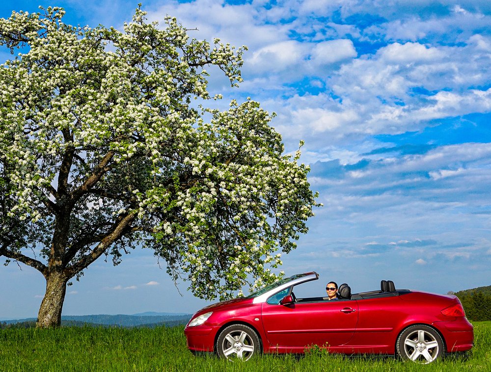 Photograph by Сергей Шишмарин