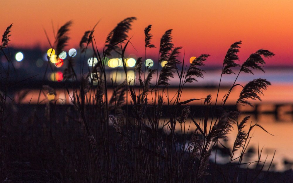 Photograph by Андрей Червяков