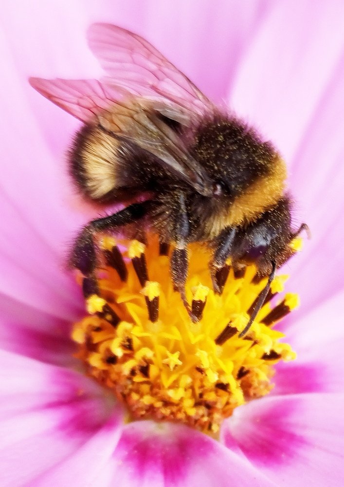 Photograph by Борис Каширин