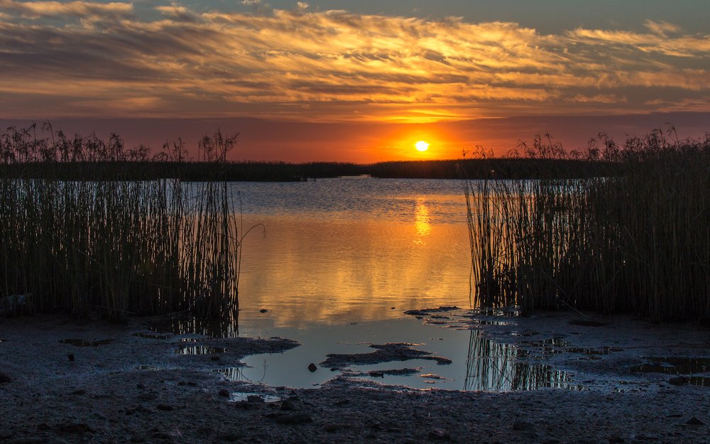 Photograph by Андрей Червяков