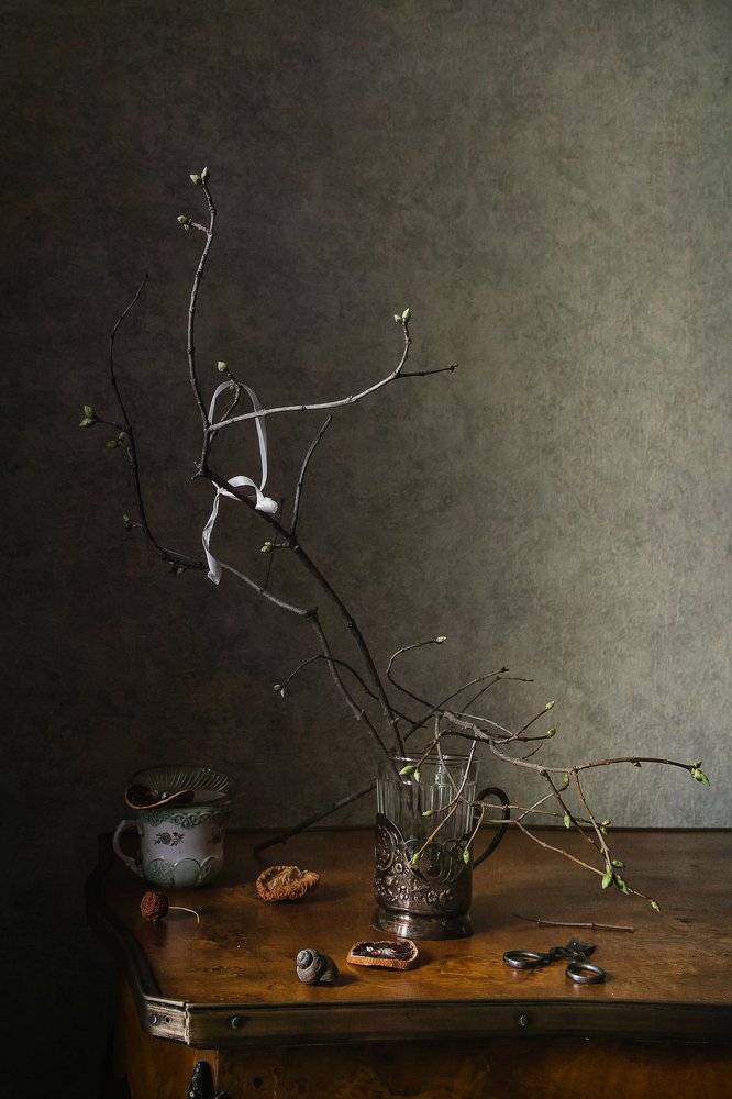 Фотография автора Анна Петина