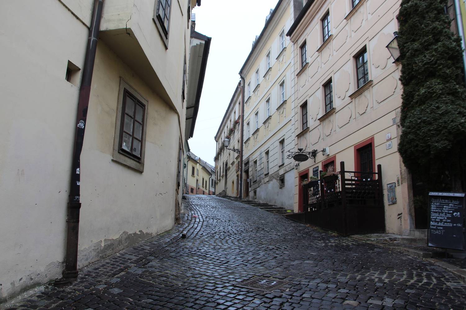 Photo #5385883