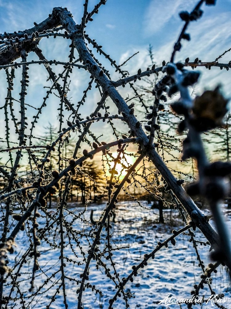 Photograph by Александра Красникова