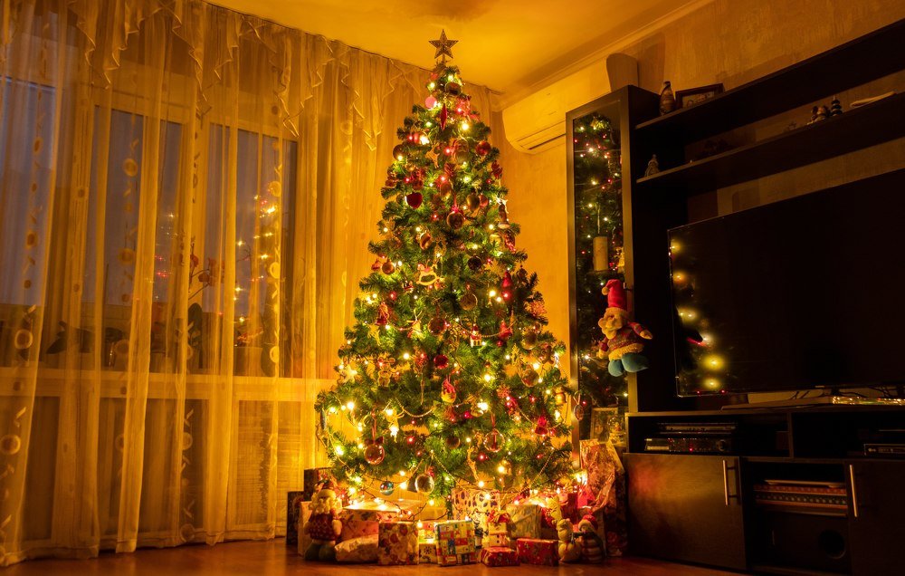 Фотография автора Виталий