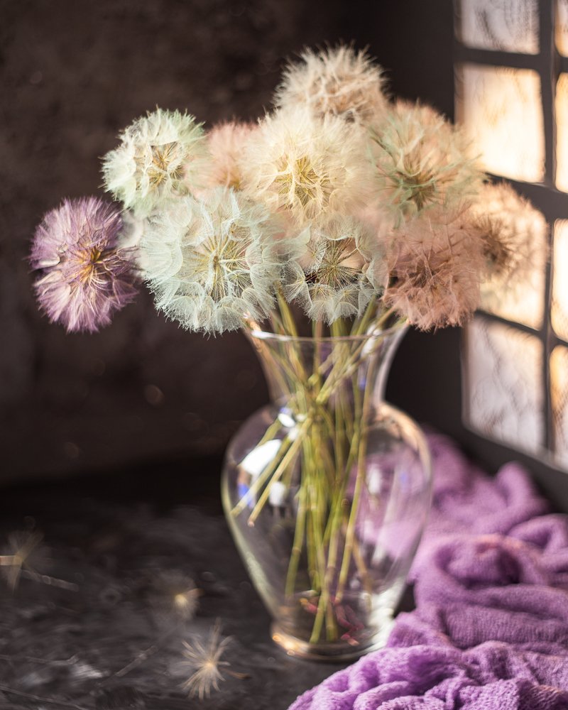 Photograph by Julia Bright