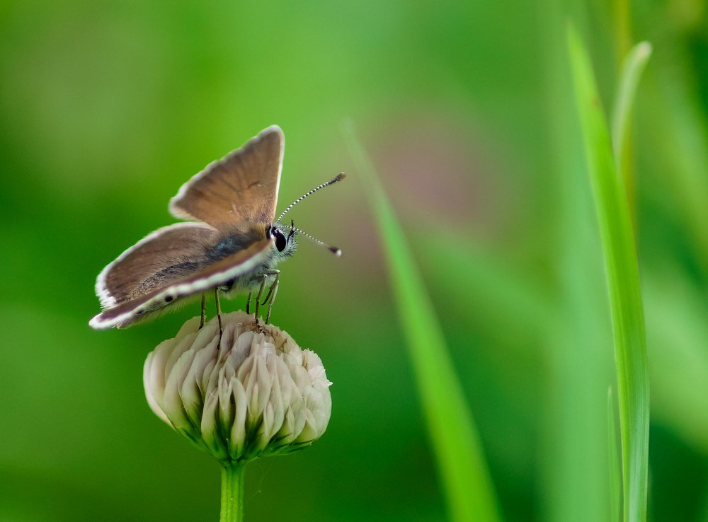 Photograph by Виктор Сёмушкин