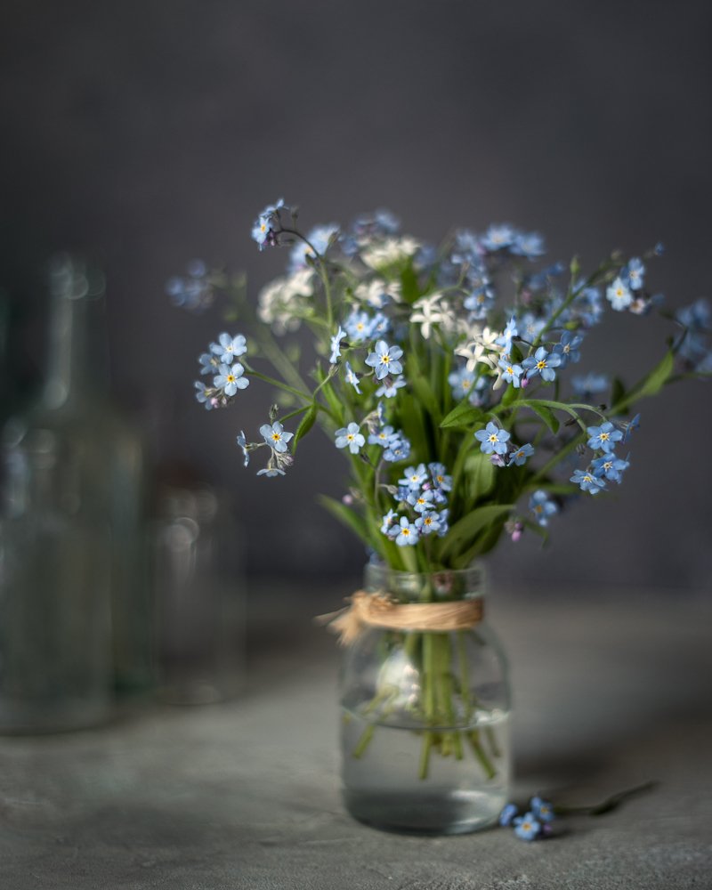 Photograph by Julia Bright