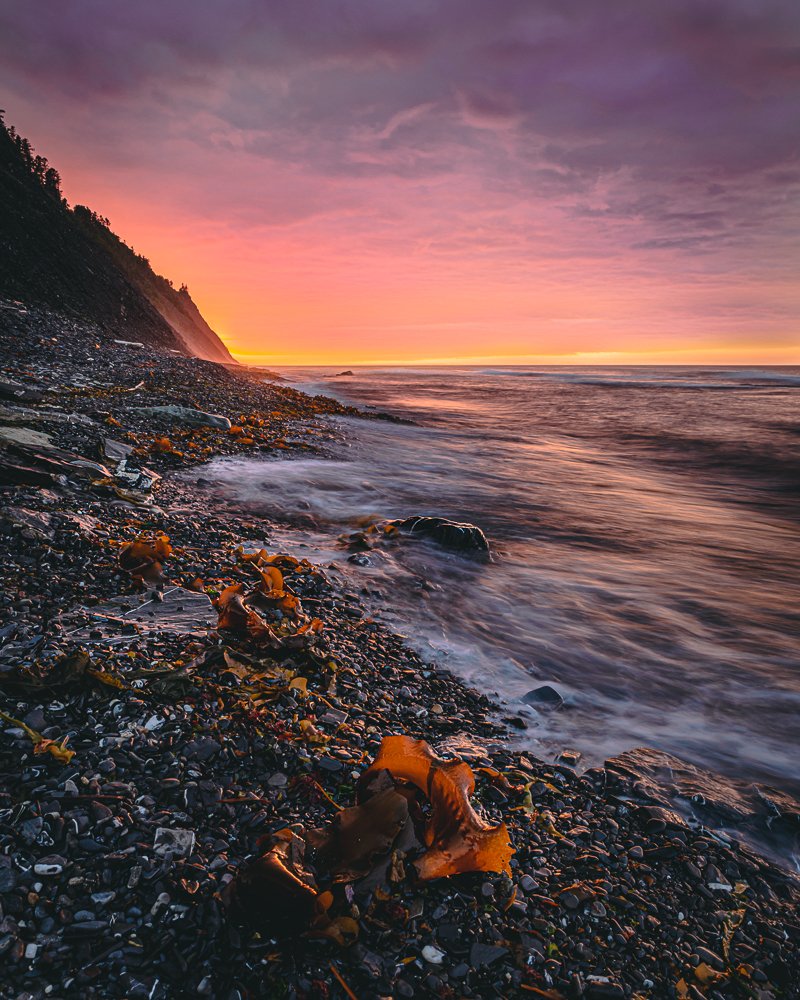 Photograph by Julia Bright