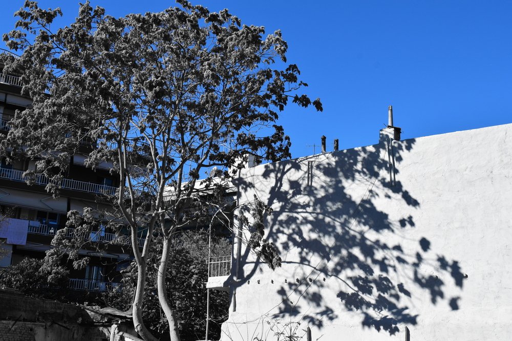 Photograph by Nantia Papanastasiou