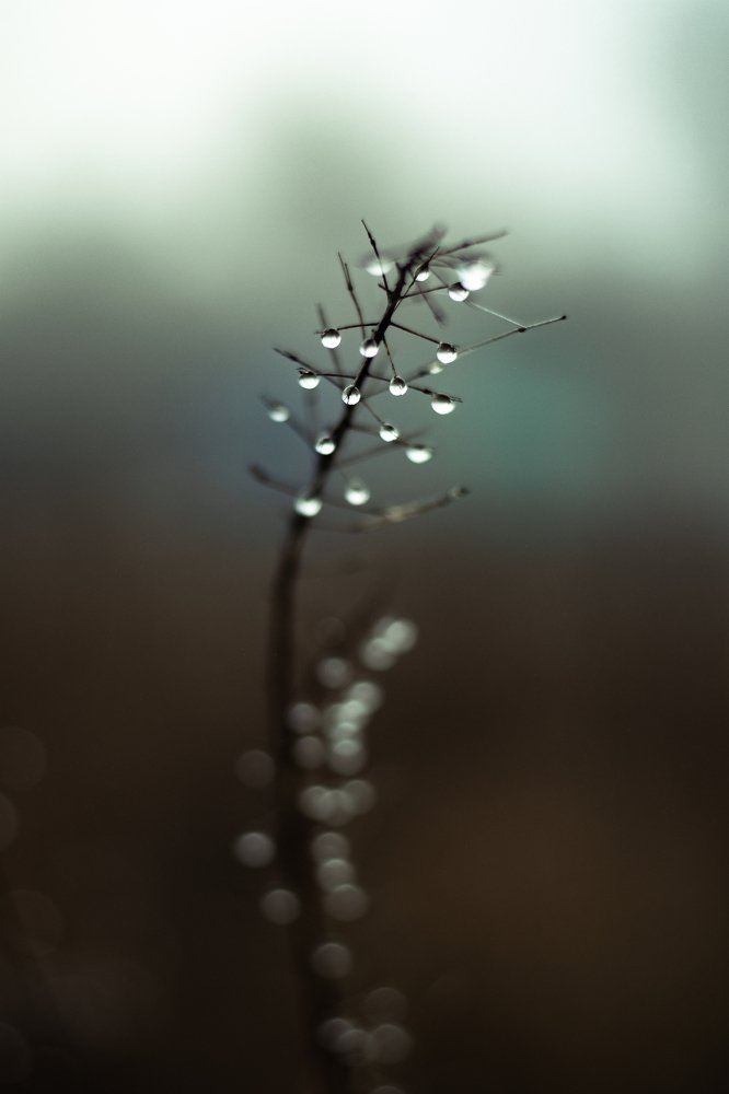 Photograph by Денис Булгаков