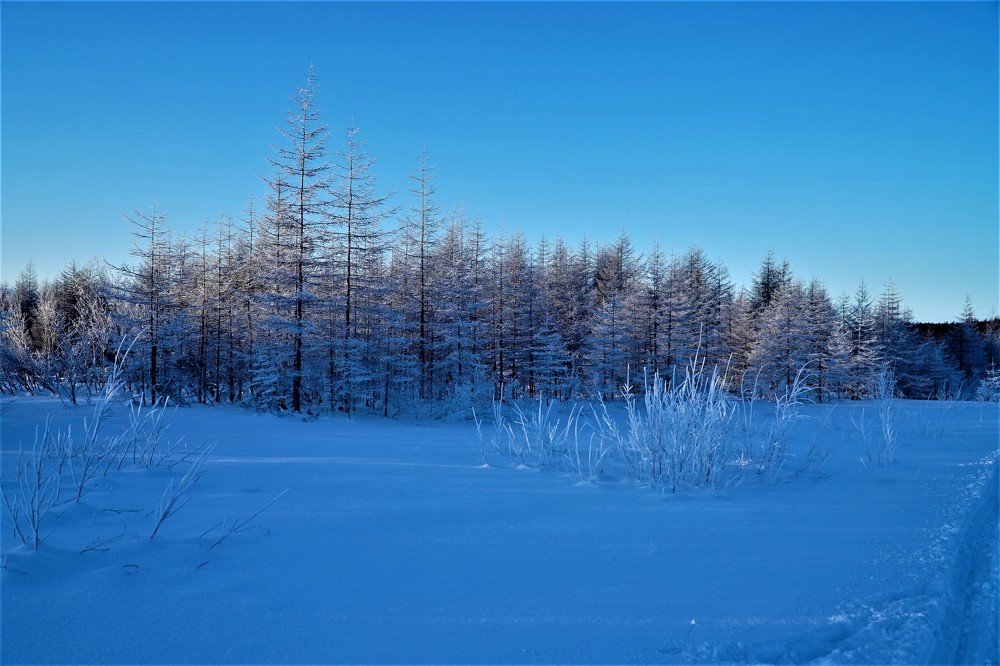 Photograph by Евгений Владимиров