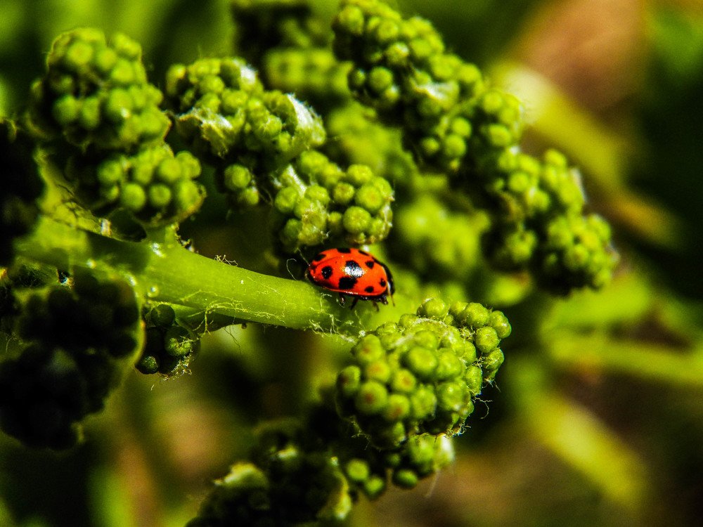 Photograph by Brayam Pua