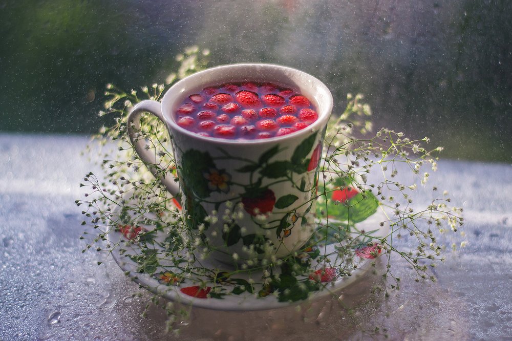 Photograph by Marina Baccardi