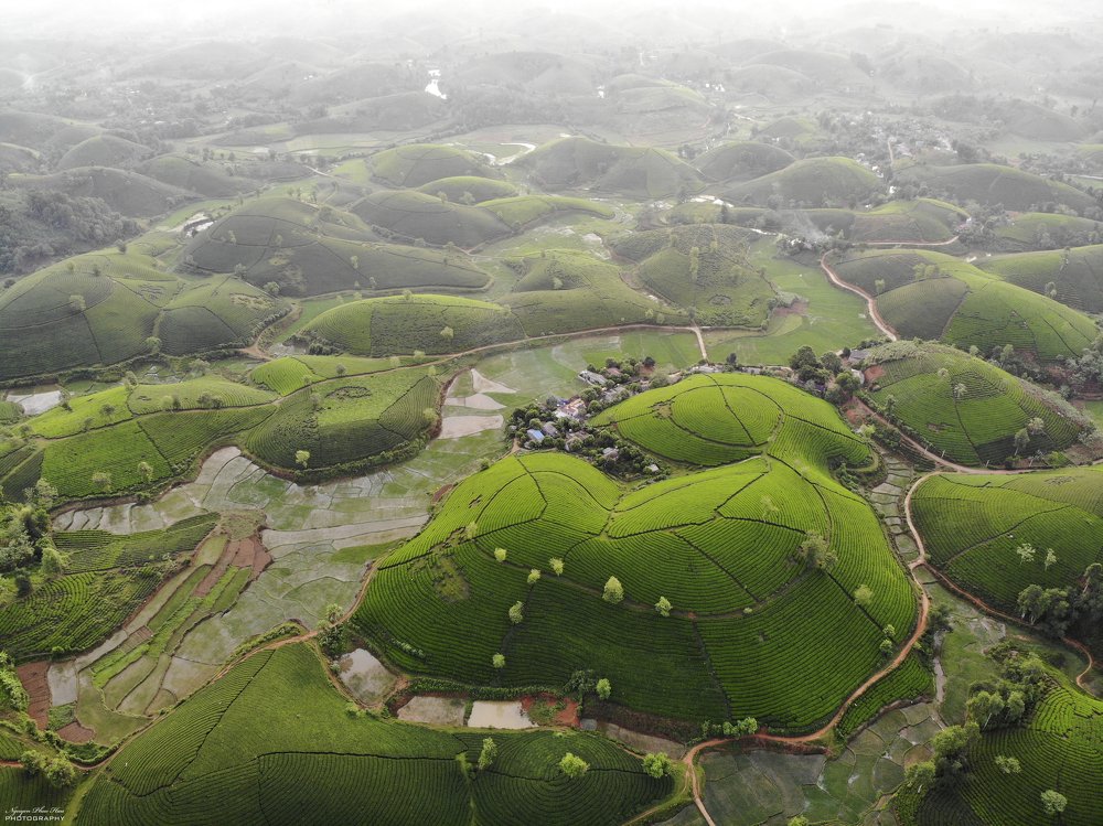 Photograph by Nguyen Phuc Hau