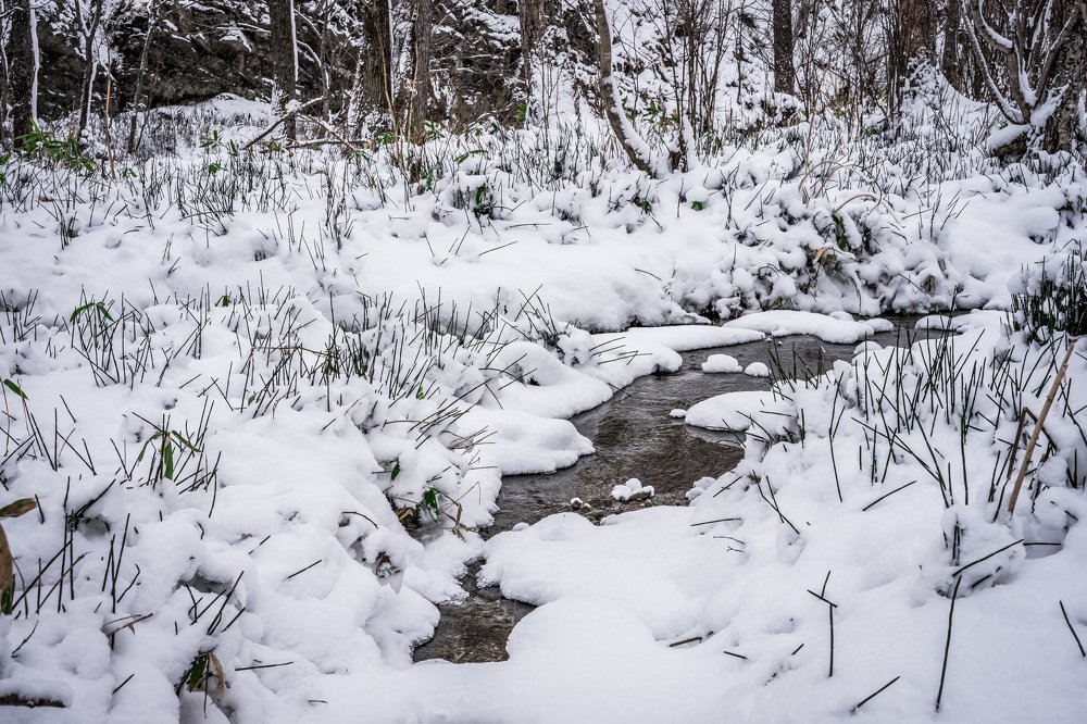 Photograph by Константин Пинигин